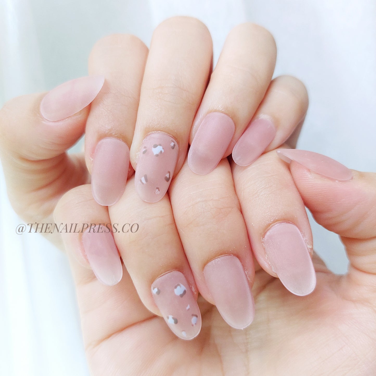 Soft Leopard Whisper – Medium Rounded 19mm