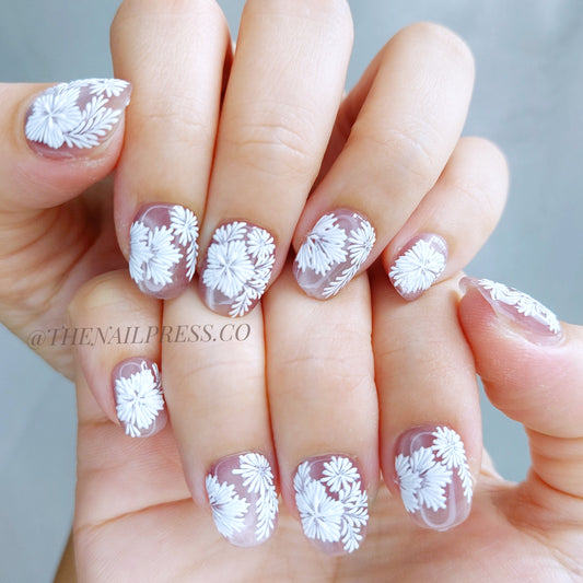 Blush Lace Dream – Short Squoval 16mm