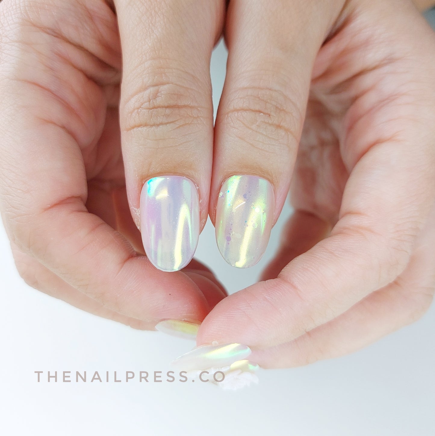 Flora Chroma – Medium Oval Rounded 19mm