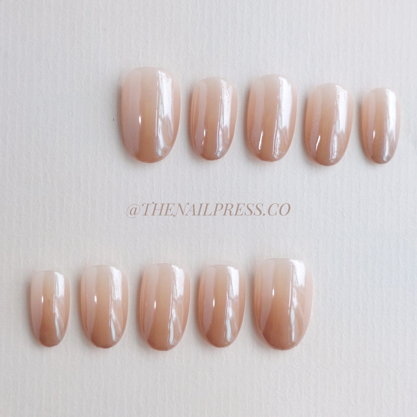 Glazed Caramel – Medium Rounded 19mm