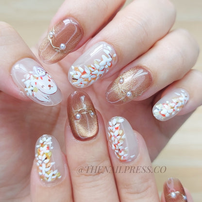 Warm Paws & Petals – Medium Rounded 19mm