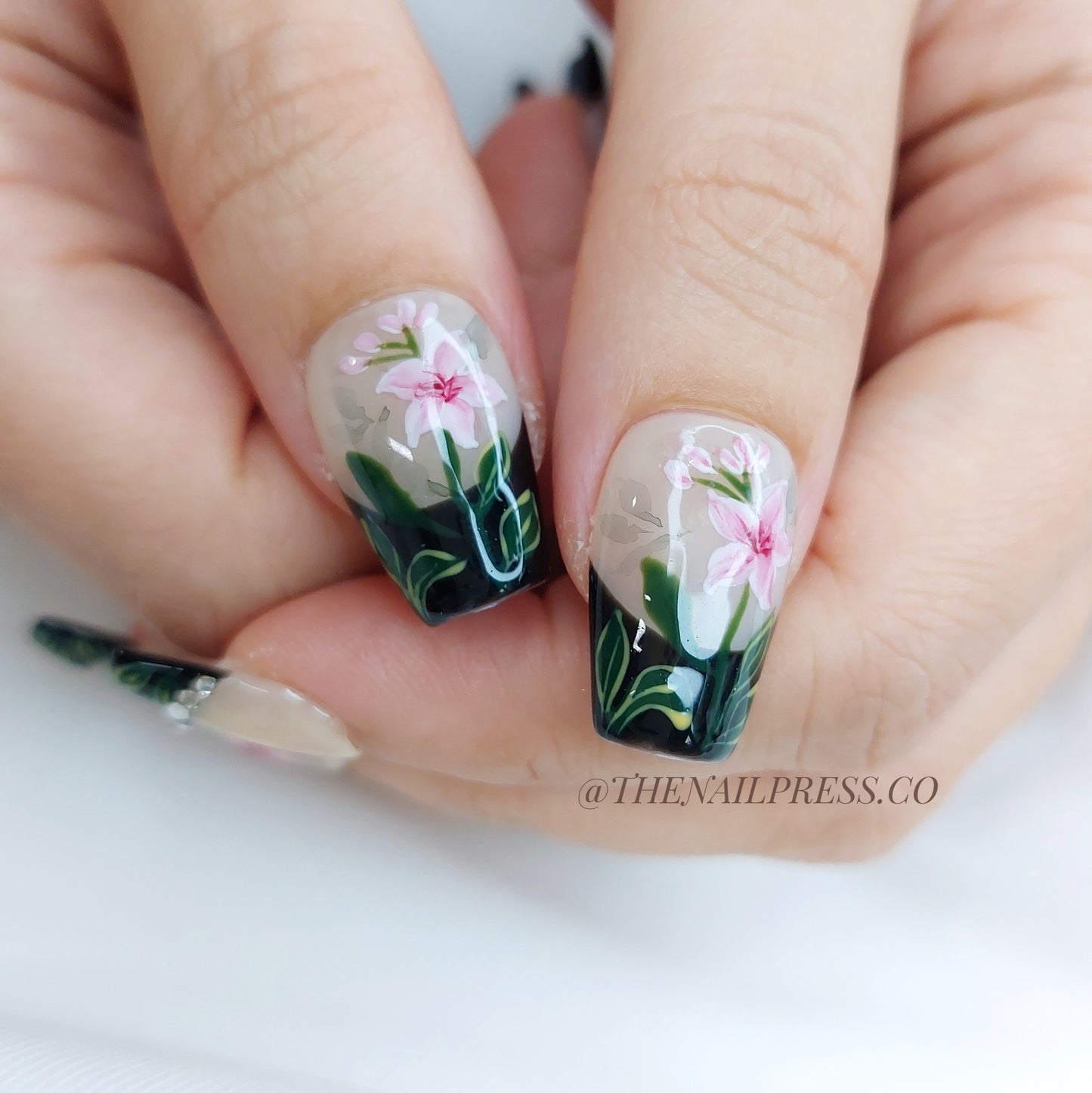 Zen Lily – Short Coffin 20mm