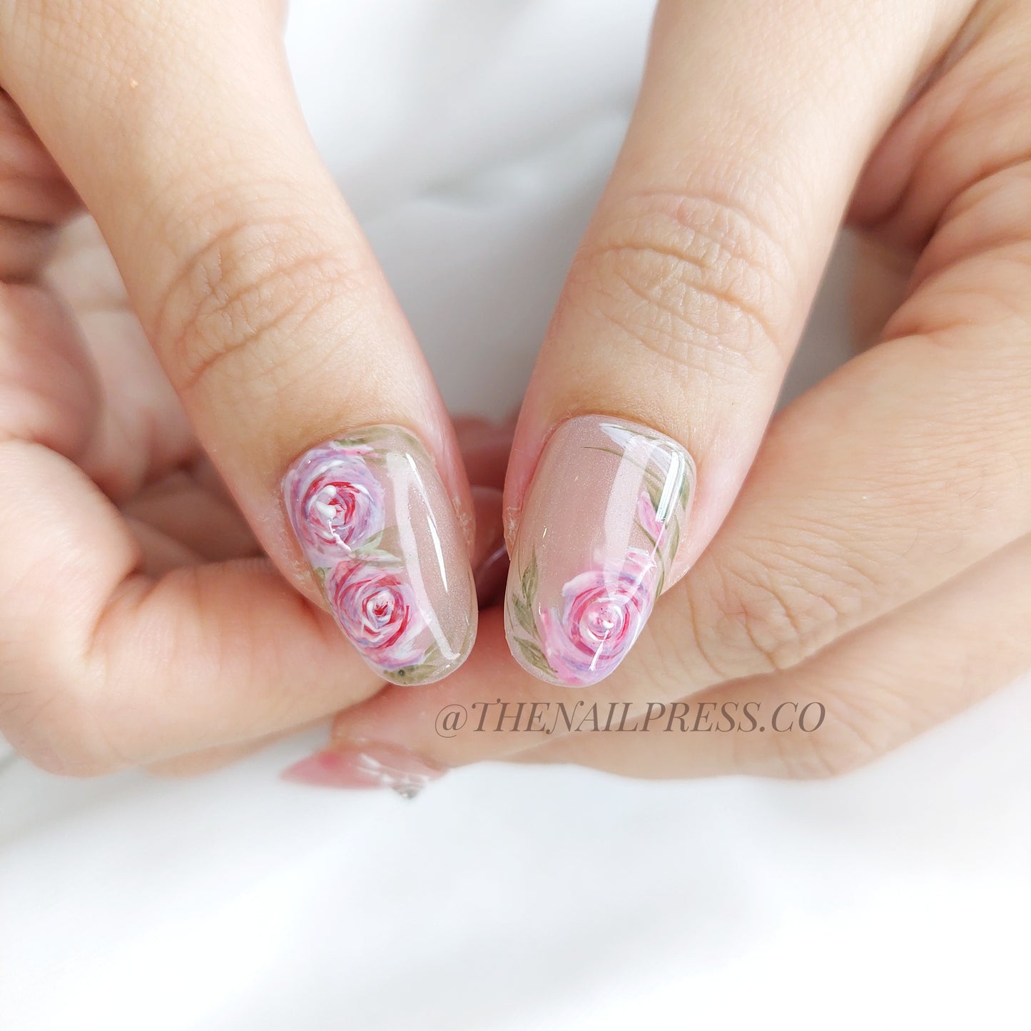 Rosé Palette – Medium Oval Rounded 19mm