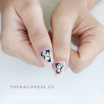 Etched in Bloom – Short Ballerina 16.5mm