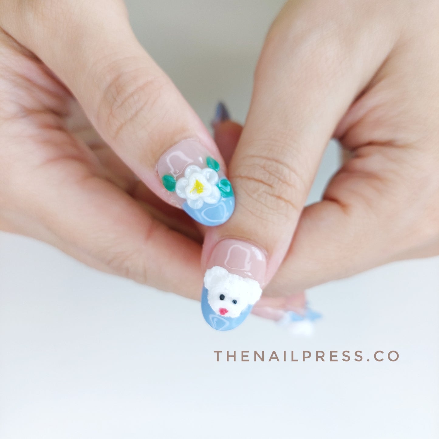 Sweet Blue Paws – Medium Rounded 19mm