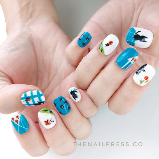 Curious Cat – Short Squoval 16mm